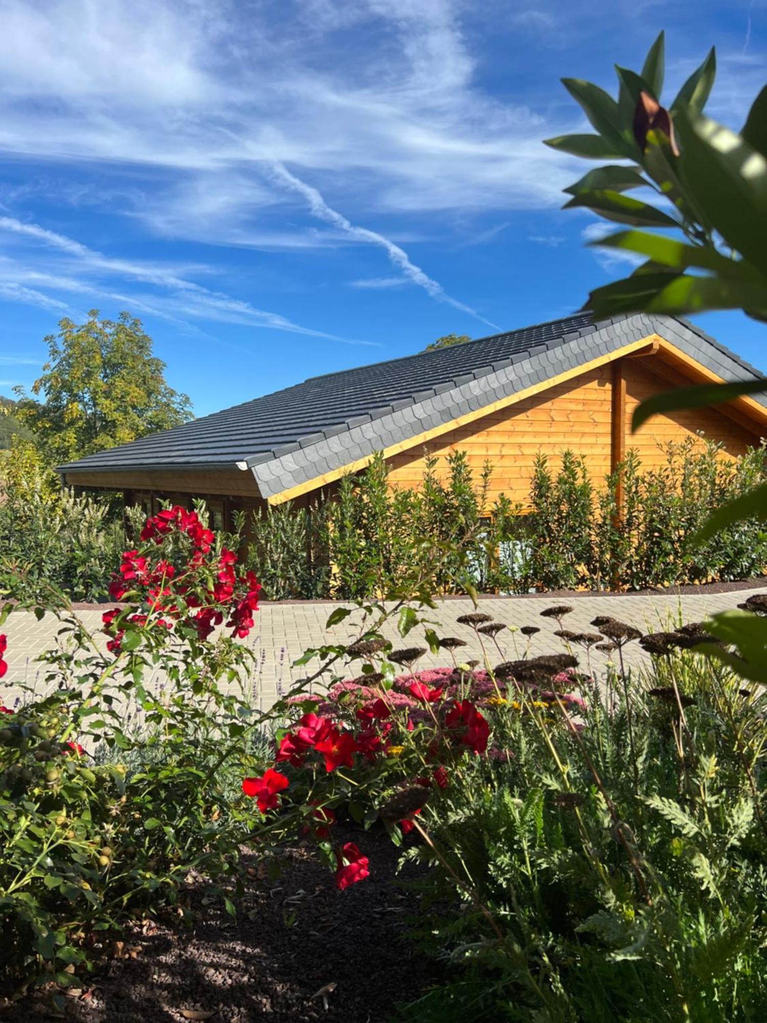 Netten Naturerlebnis Holz-Chalets 道恩 外观 照片