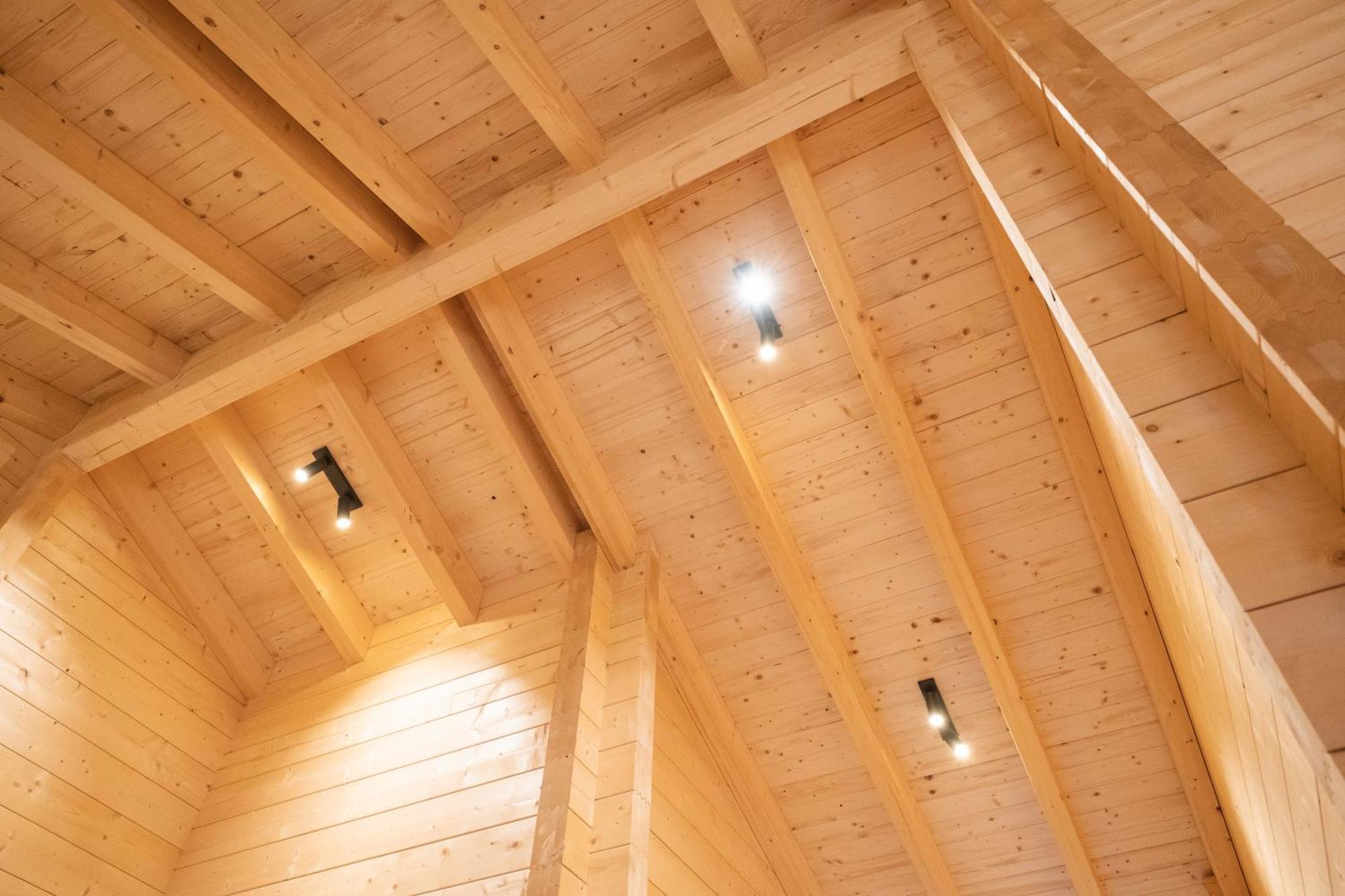 Netten Naturerlebnis Holz-Chalets 道恩 外观 照片
